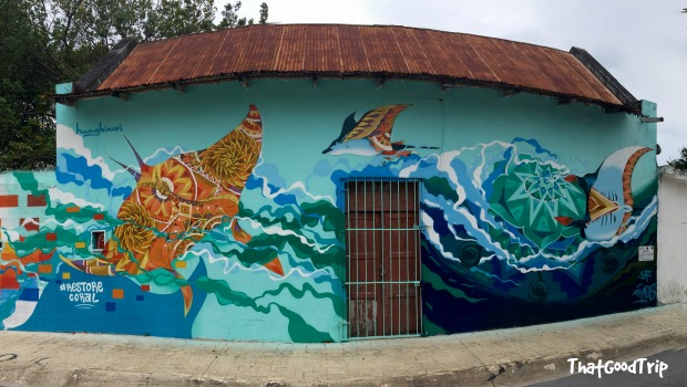 Mergulho em Cozumel, México: Sea Walls 