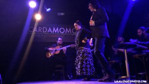 Flamenco em Madrid show