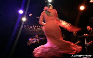 Flamenco dança