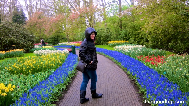 parque das tulipas na holanda: tão lindo