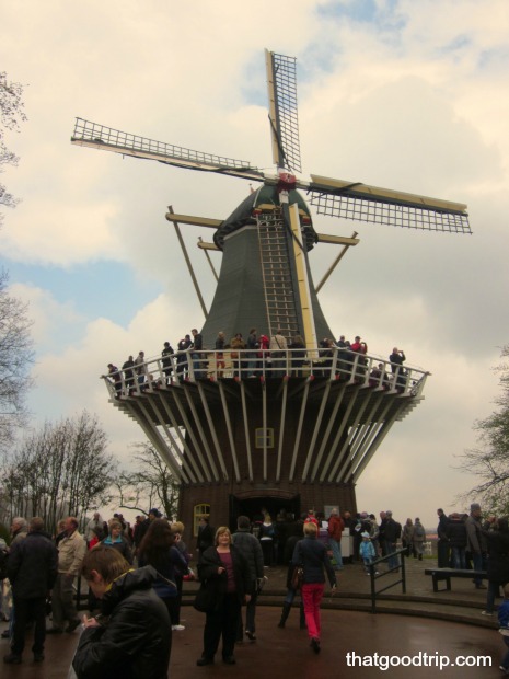 parque das tulipas na holanda: moinho de vento