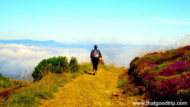 Caminho de Santiago guia gratis