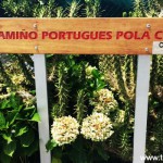 Por que o Caminho Portugues da Costa é especial?