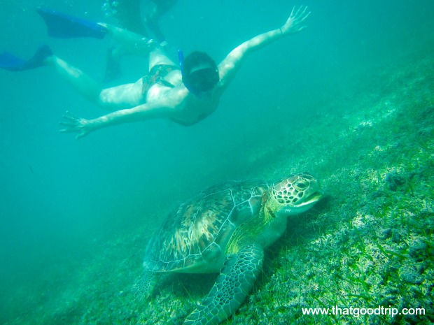 O que fazer na Riviera Maya: Akumal