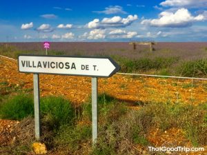 Lavanda em Brihuega, Guadalajara