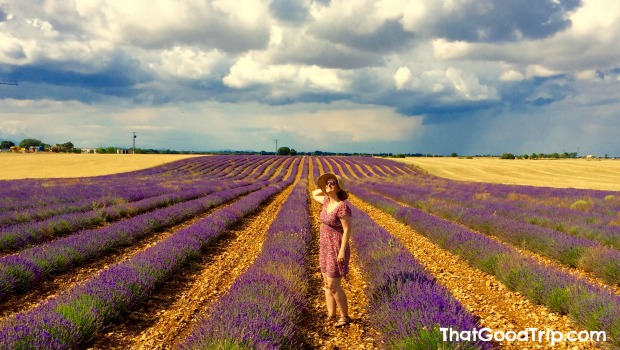 Campos de lavanda na Espanha