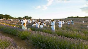 festival de la lavanda brihuega