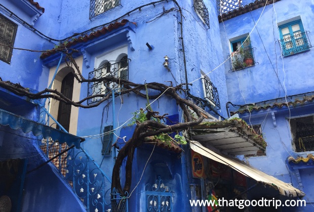 Chefchaouen: conheca a cidade azul do norte do marrocos