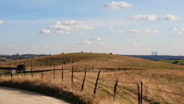 Caminho de Santiago de Madrid: Paisagem rural e 4 torres 